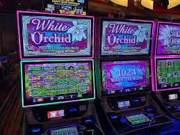 Tabel Baccarat SA Gaming